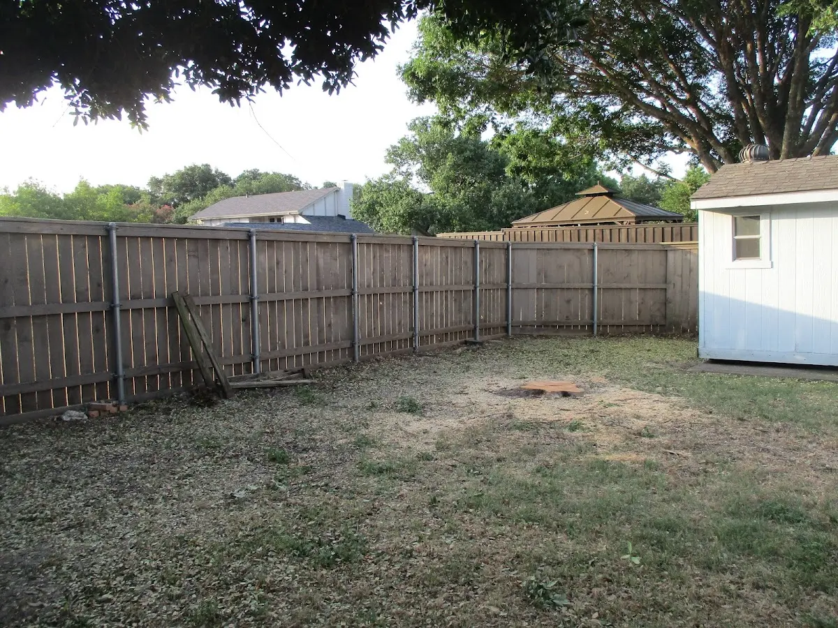 Cleared yard after professional tree removal in Carle Place