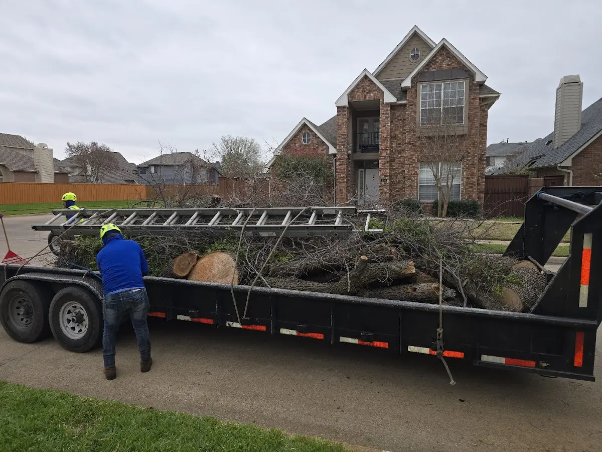 Expert Tree Removal with proper safety equipment in Carle Place